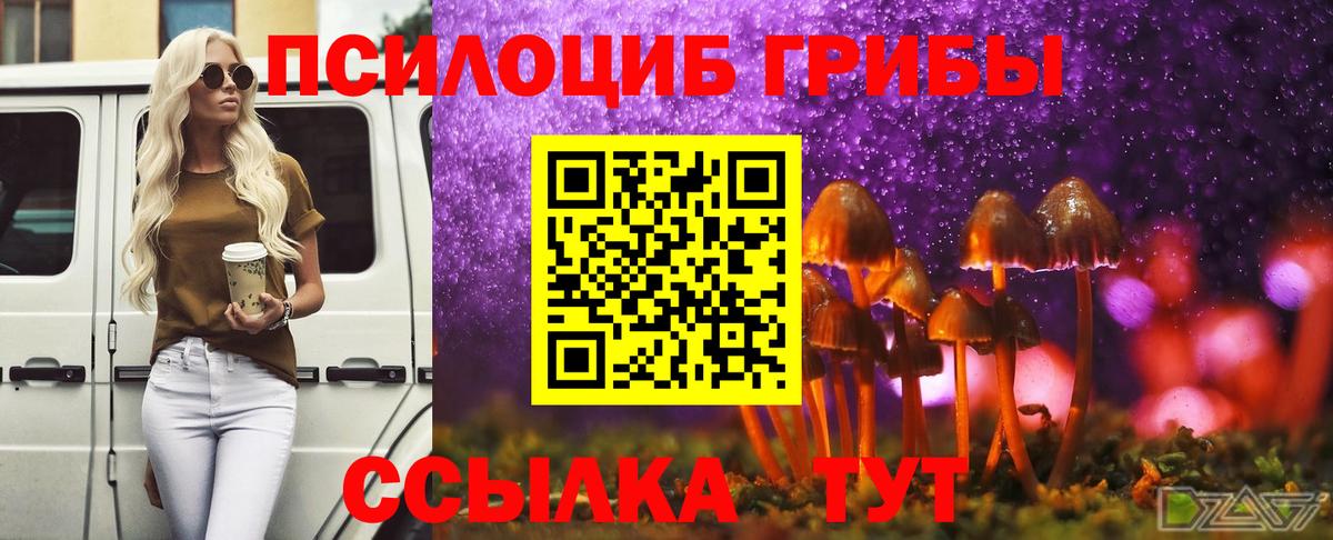 Галлюциногенные грибы мухоморы Арсеньев